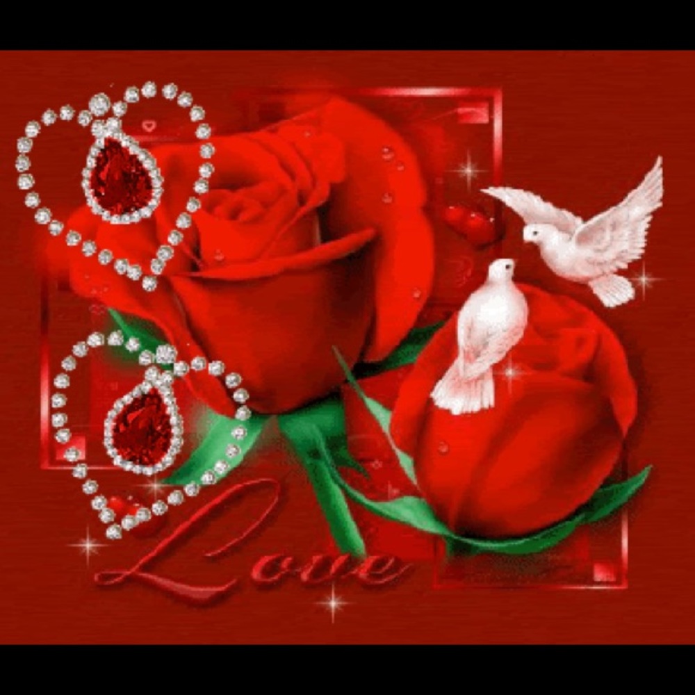 Meet your Posher, Mirvet